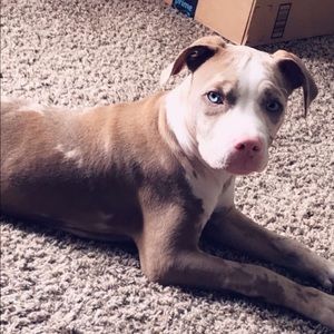 Meet your Posher, Lizandra